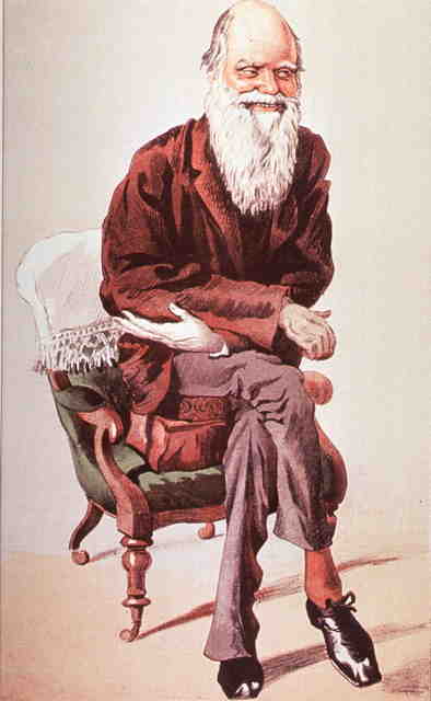 A sketch of charles darwin seated in and arm chair with legs crossed, arms crossed, leaning forward with a smile on his face.